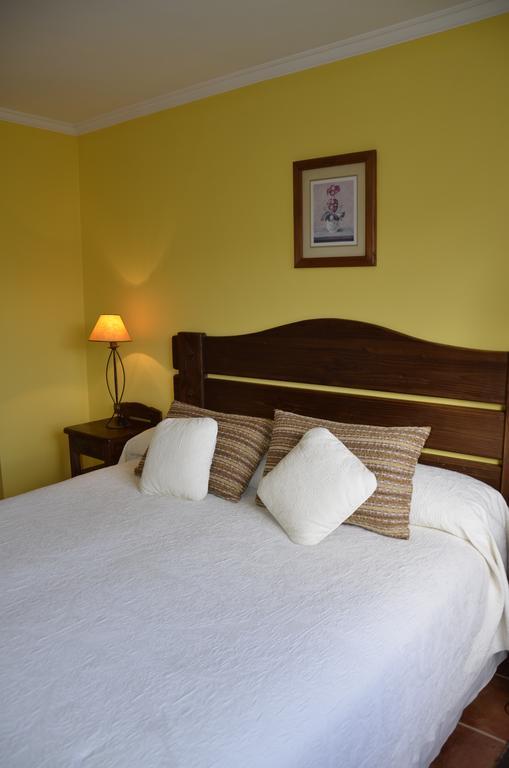 Hotel Del Volcán 3*